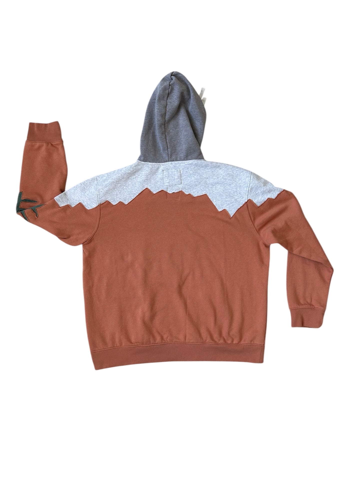 Mountain and Forest Hoodie - XXL