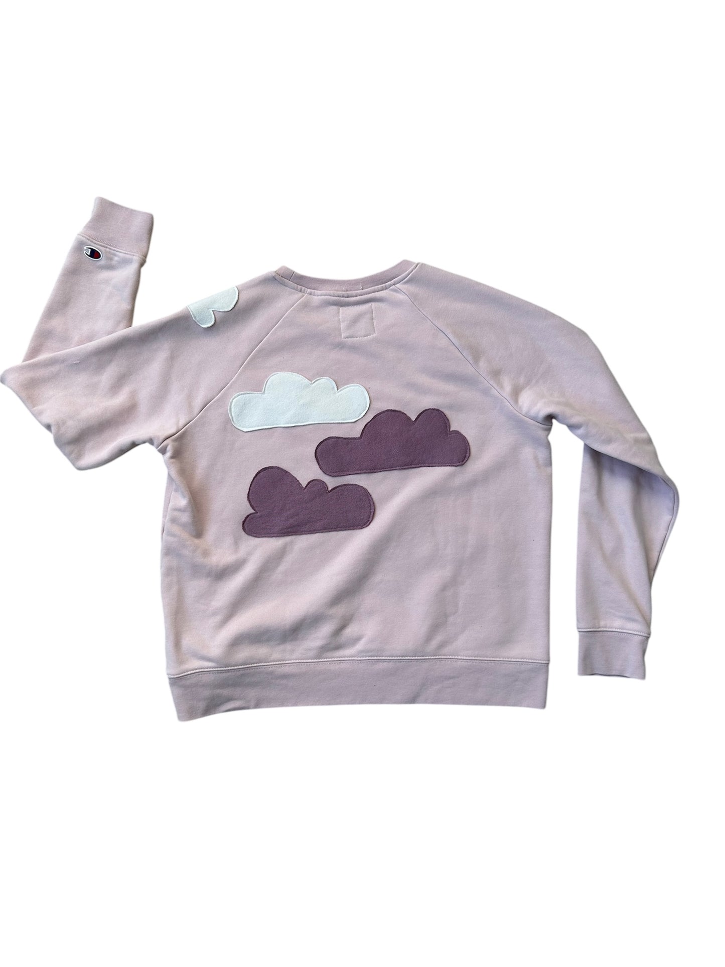 Flying High - Plane in the Clouds Sweatshirt - Women's Large