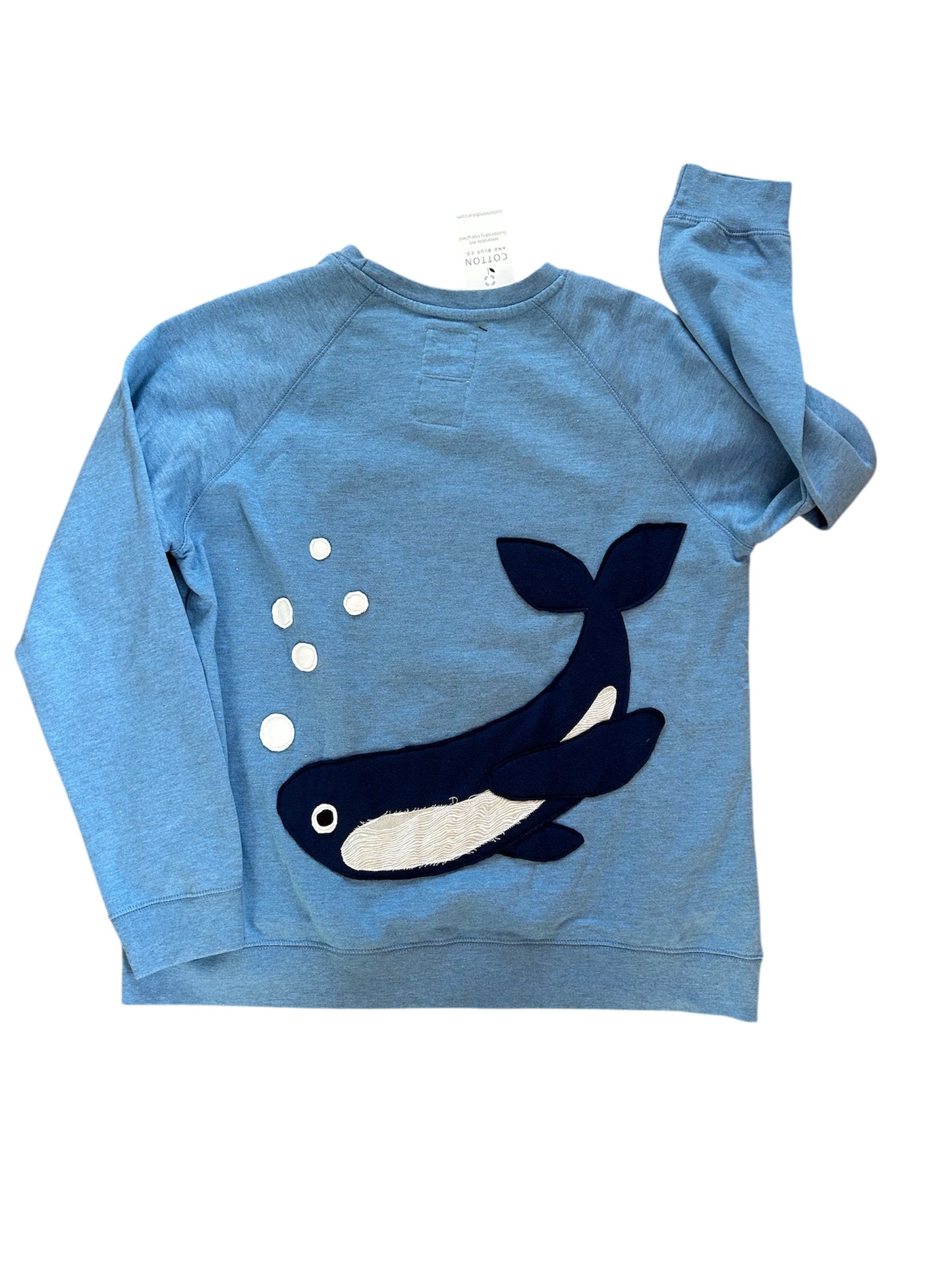 Ocean Sunset with Big Whale Patch